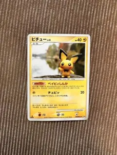 2026年最新】ピチュー ベイビィしんかの人気アイテム - メルカリ