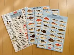 2026年最新】日本水産魚譜の人気アイテム - メルカリ