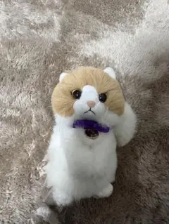 2026年最新】藤原樹 メンプロの人気アイテム - メルカリ