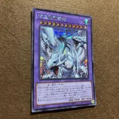 2026年最新】究極竜魔導師の人気アイテム - メルカリ