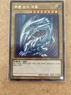 2026年最新】青眼の白龍 韓国の人気アイテム - メルカリ