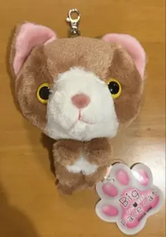 2026年最新】SHINADAの人気アイテム - メルカリ