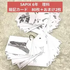 2026年最新】サピックス カード 動物 植物の人気アイテム - メルカリ