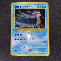 2026年最新】ひかるギャラドス psaの人気アイテム - メルカリ