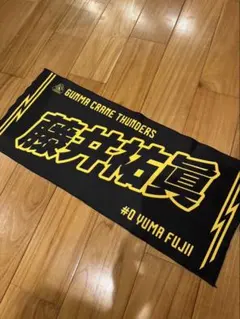 2026年最新】群馬クレインサンダーズ タオルの人気アイテム - メルカリ