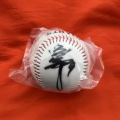 2026年最新】亀井 サインボールの人気アイテム - メルカリ