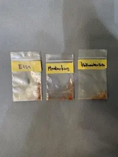 2026年最新】リドレイ モンキーキングの人気アイテム - メルカリ