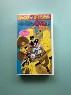 2026年最新】小助さま力丸さま-コンペイ島の竜-の人気アイテム - メルカリ