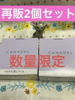 2026年最新】カナデル プレミアホワイト レフィルの人気アイテム