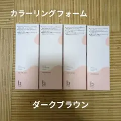 2026年最新】ビーリス エアリーカラーリングフォームの人気アイテム