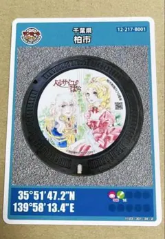 2026年最新】柏市マンホールカードの人気アイテム - メルカリ