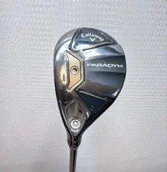 2026年最新】パラダイム アイアン レフティの人気アイテム - メルカリ