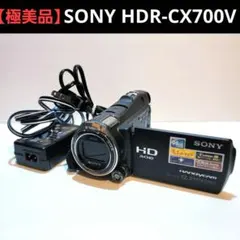 2026年最新】HDR-CX700vの人気アイテム - メルカリ