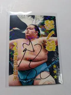 2026年最新】琴櫻 サインの人気アイテム - メルカリ