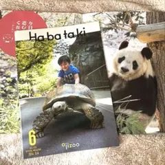 2026年最新】王子動物園 habatakiの人気アイテム - メルカリ