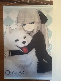 2026年最新】crystar サウンドトラックの人気アイテム - メルカリ