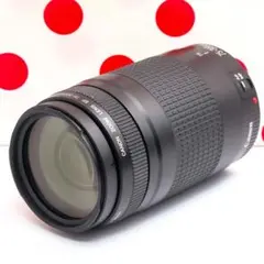 2026年最新】canon kiss x8i 望遠レンズの人気アイテム - メルカリ