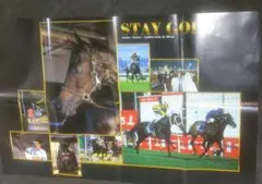 2026年最新】ステイゴールド ポスターの人気アイテム - メルカリ