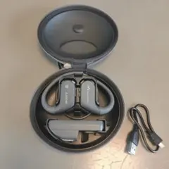 2026年最新】NW-WS623の人気アイテム - メルカリ