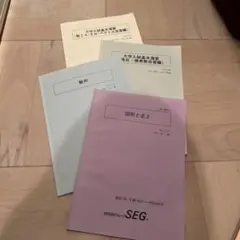 2026年最新】seg テキストの人気アイテム - メルカリ