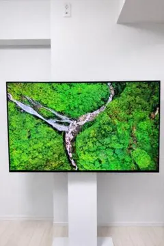 2026年最新】sony bravia 55 有機elの人気アイテム - メルカリ