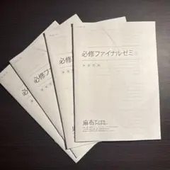 2026年最新】必修ファイナルゼミの人気アイテム - メルカリ