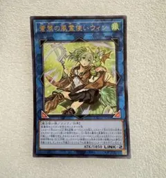 2026年最新】蒼翠の風霊使いウィンの人気アイテム - メルカリ