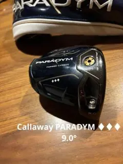2026年最新】パラダイム ドライバー ヘッドの人気アイテム - メルカリ