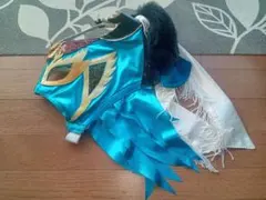 2026年最新】ハヤブサ プロレス サインの人気アイテム - メルカリ