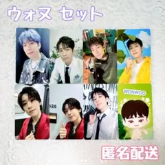 2025年最新】SEVENTEEN ウォヌ トレカ まとめ売りの人気アイテム