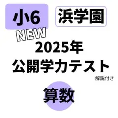 2026年最新】浜学園 公開テスト 小6の人気アイテム - メルカリ