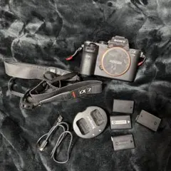 2026年最新】sony a7iiの人気アイテム - メルカリ