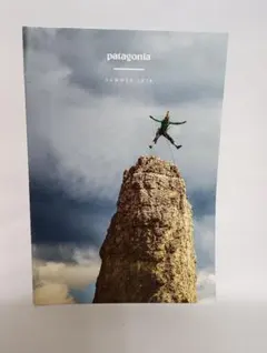 2026年最新】パタゴニアカタログの人気アイテム - メルカリ