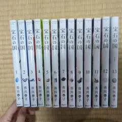 2026年最新】宝石の国（13）特装版の人気アイテム - メルカリ