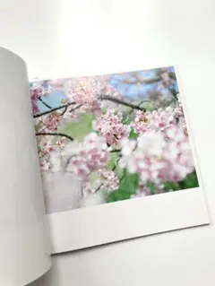 2026年最新】鈴木理策の人気アイテム - メルカリ