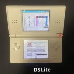 2026年最新】dsi ソフトの人気アイテム - メルカリ