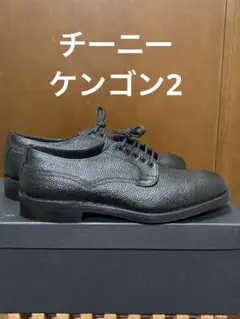 2026年最新】チーニー ケンゴン 6の人気アイテム - メルカリ