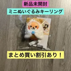 2026年最新】ZeroBaseOne ぬいぐるみ マシューの人気アイテム - メルカリ