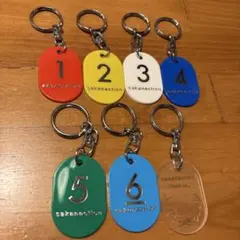 2026年最新】sakanaction キーホルダーの人気アイテム - メルカリ