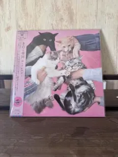 2026年最新】きのこ帝国 レコードの人気アイテム - メルカリ