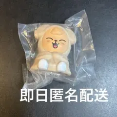 2026年最新】SKzoo ぬいぐるみ スンミンの人気アイテム - メルカリ