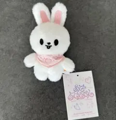 2026年最新】StrayKids リノ ぬいぐるみの人気アイテム - メルカリ