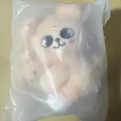 2026年最新】skzoo ぬいぐるみ マグネットの人気アイテム - メルカリ