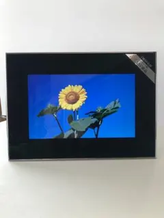 2026年最新】DP-850SHの人気アイテム - メルカリ