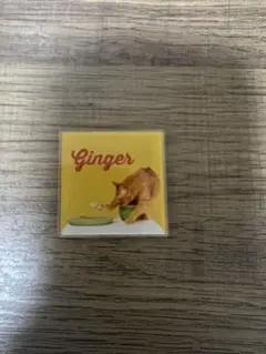 2026年最新】tomoo マグネットの人気アイテム - メルカリ