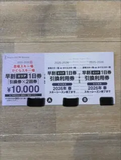 2026年最新】かぐらリフト券の人気アイテム - メルカリ