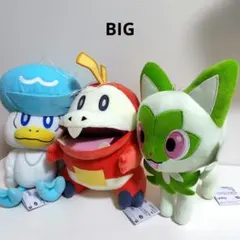 2026年最新】御三家 ぬいぐるみの人気アイテム - メルカリ