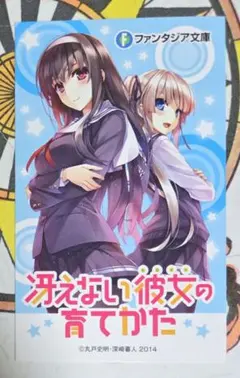 2026年最新】富士見ファンタジア文庫 プロモの人気アイテム - メルカリ