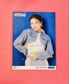 2026年最新】桜梅桃李の人気アイテム - メルカリ