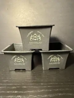 2026年最新】spicygem 鉢の人気アイテム - メルカリ